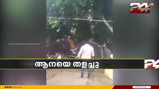 തൃശൂരിൽ ഉത്സവത്തിനിടെ ആനയിടഞ്ഞു | Elephant