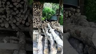 Nak Cari Kayu Api