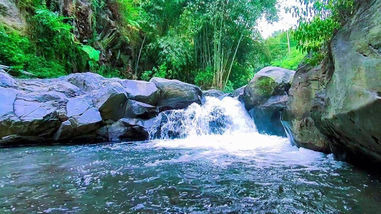 Water Calm Instruments Melodies of Nature, Birds Chirping, Calm Water, Clear Water Sound ...