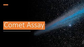 G T 12; What is Comet Assay, General Toxicology, Module 12