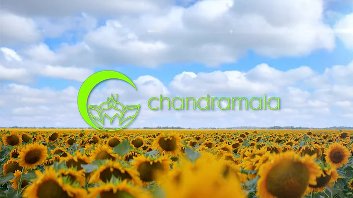 Sharon Sinclair on GMNC | Navigating the Future | ...