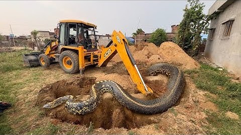 JCB 3dx Xpert Machine Loading Mud in Trolley | Swaraj 855 | Mahindra 475 | Eicher Specs | Kubota
