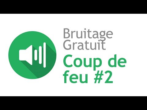 COUP DE FEU #2 - Bruitage Gratuit