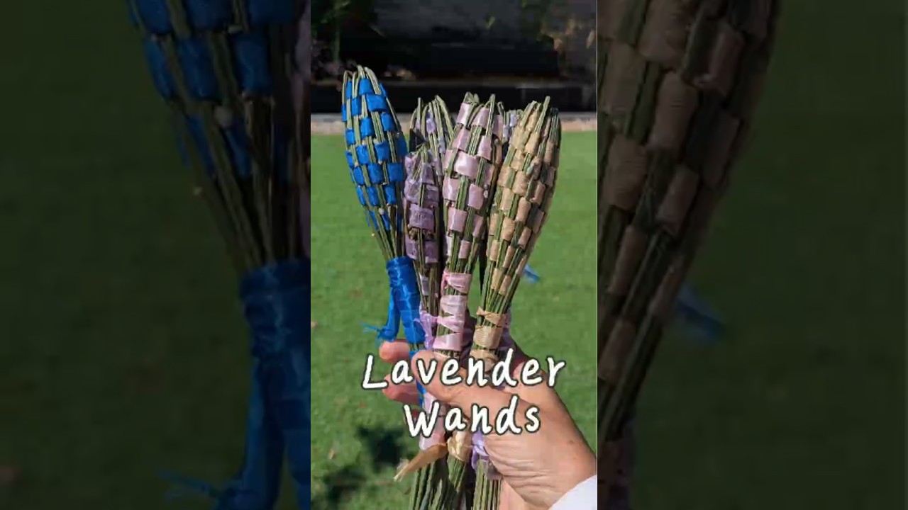 "Stroke" in Time～Ep34 | Lavender Wands 