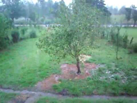 აბედათის წვიმა