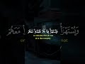 QURAN | قرآن كريم #اكسبلور #المصحف #capcut #راحة_نفسية #qurankareem #حالات_واتس #لايك #duet