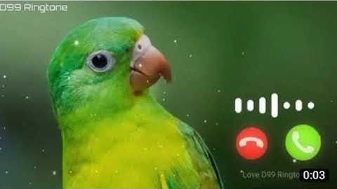 Notification Ringtone | Best message tone Sms tone I sms Ringtone 2020360p