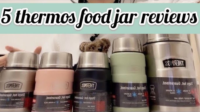 Top 5 Best Hot Food Thermos on  in 2022 