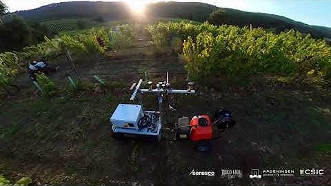 Botrytis detection and application of phytosanitary treatments in vineyards