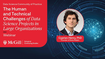 The Human and Technical Challenges of Data Science Projects in Large Organizations