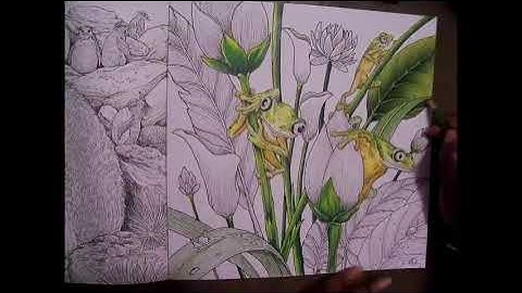 Lemur Frogs from Fragile Worlds by Kerby Rosanes Part 1