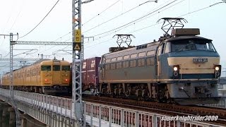 JR貨物 EF66 36号機+コキ20B 貨物列車2073レ 大竹→和木 2013.9