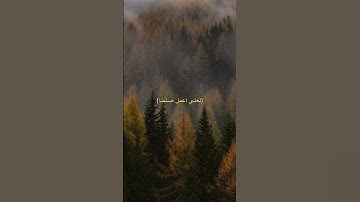 آيات ٩٩ - ١٠٠ من سورة المؤمنون