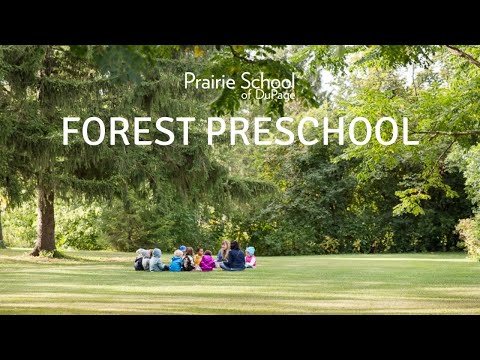 Forest Preschool at Prairie School of DuPage