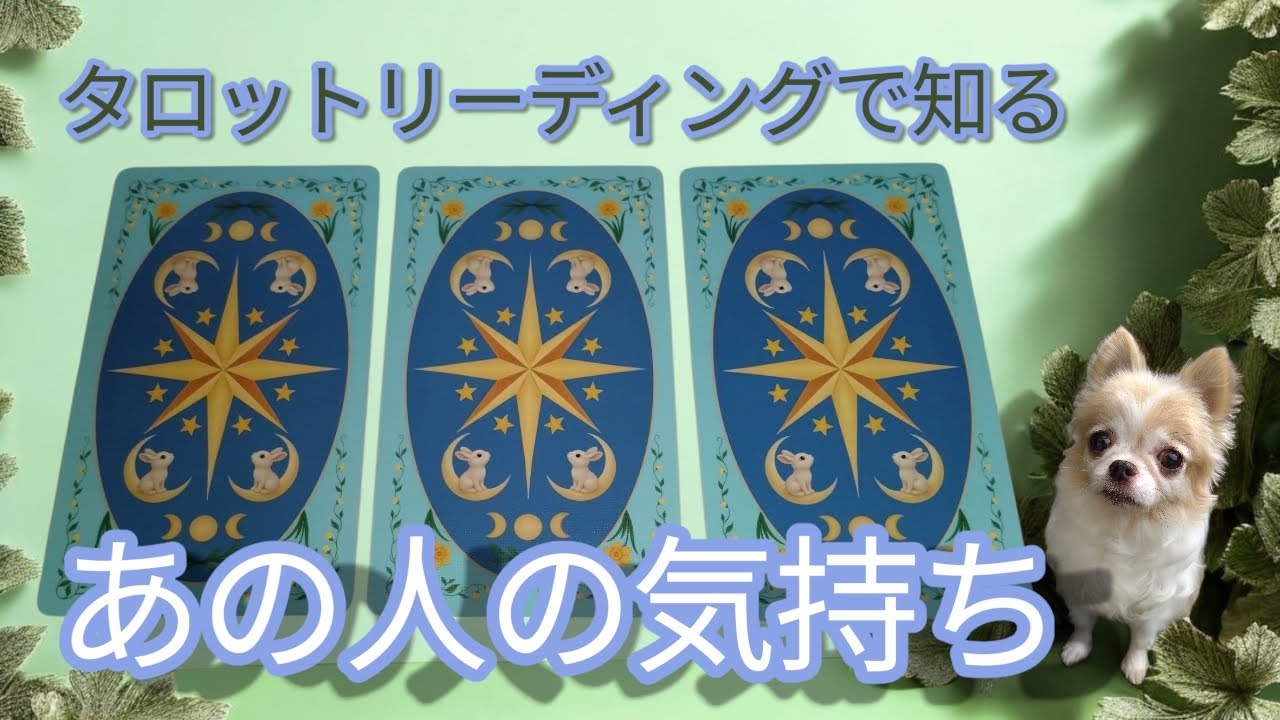 *お試し動画*【 内緒話の部屋 】であの人の気持ちをちょっとだけ聞いてみた𓈒 𓏸𓈒𓂂𓂃♡あの人は何を思ってる？