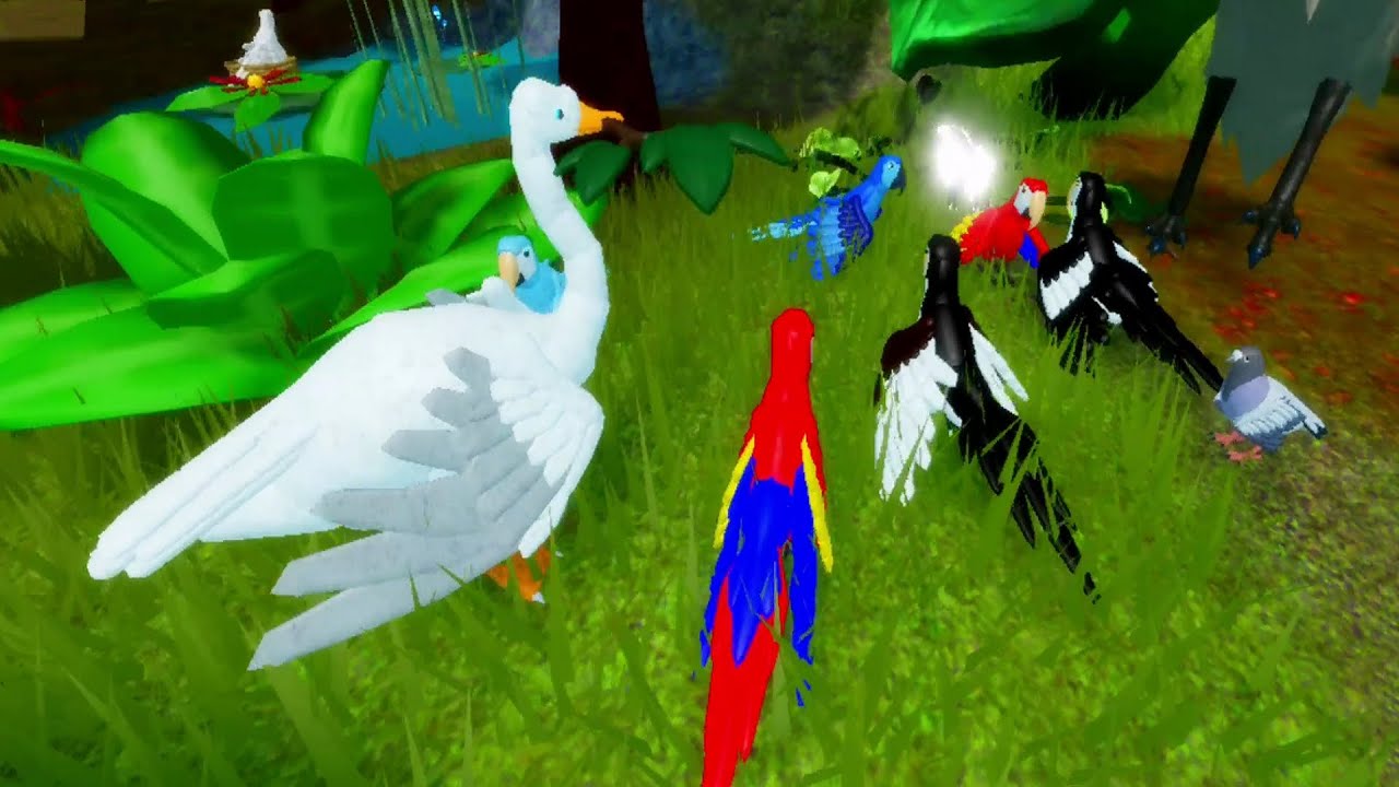 Bird Simulator Feather Family Best Moment Roblox YouTube