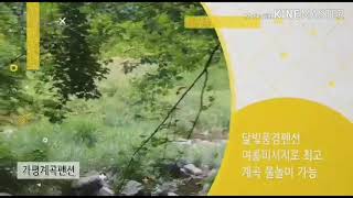 가평계곡펜션 백둔계곡펜션 달빛풍경펜션