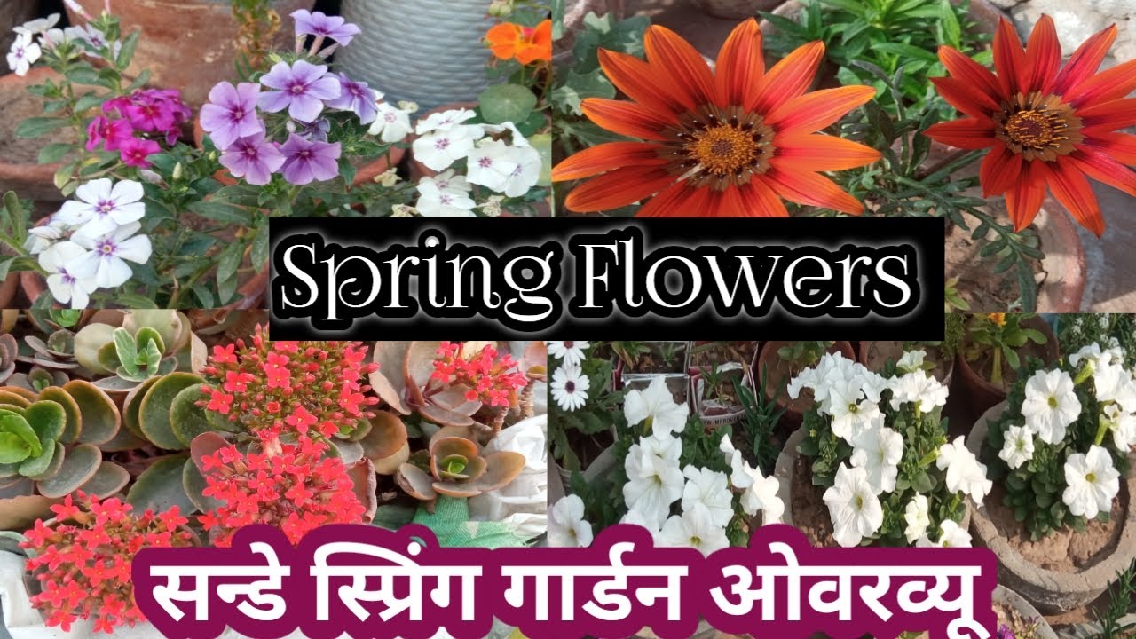 Small Space Terrace Design