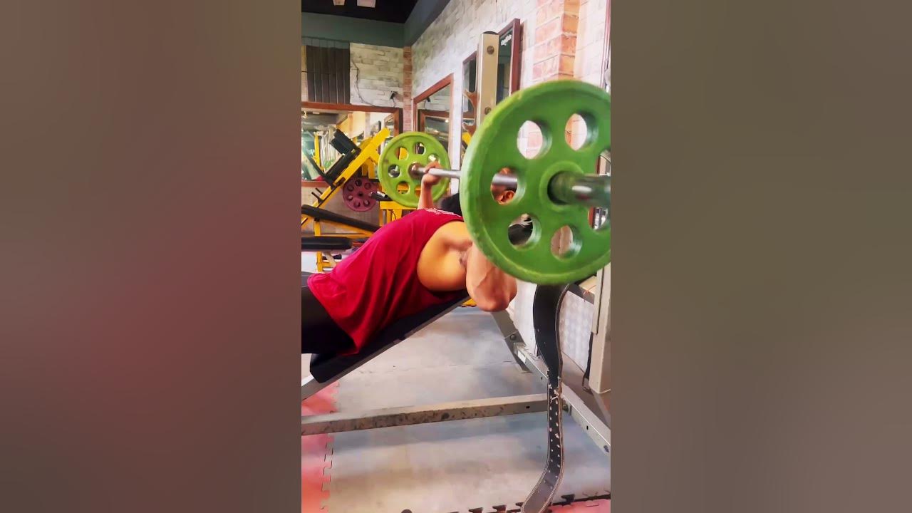 Chest quality training bodybuilding chest training chest workout