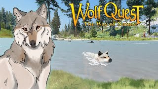 The Newest Litter of Little Berries🐺❄️Wolf Quest: The Way of Nature #3 (Snowberry) REUPLOAD
