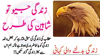 Eagle life story in urdu | in hindi | Zindagi jeo toh shaheen ki tarah | Knowledge Presentation