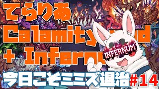 【Terraria Calamity mod】超高難易度十四日目　ボスあと5体が遠い【Infernum mode】