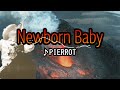 PIERROT/Newborn Baby【うたスキ動画】