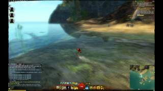 Guild Wars 2 Armor Bug[HD]