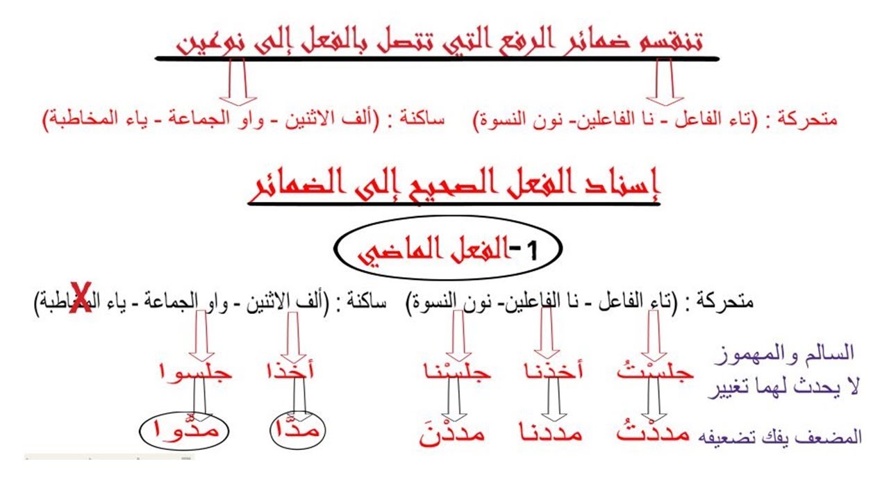 إسناد الأفعال إلى الضمائر | إسناد الفعل الصحيح إلى ضمائر الرفع