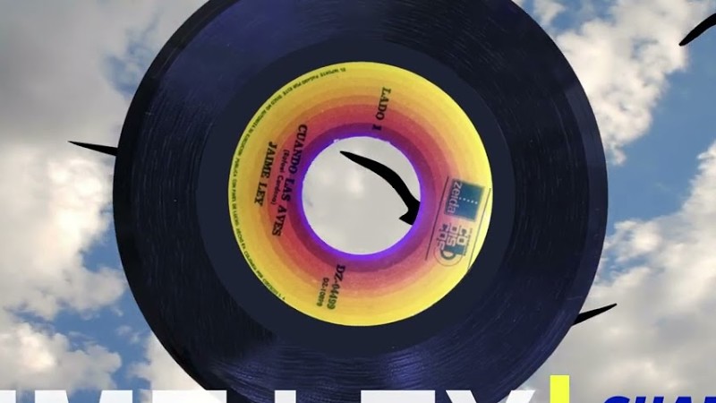 Cuando Las Aves - Jaime Ley