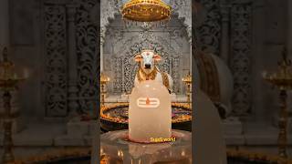 😃 SujaS world #youtubeshorts #omnamahshivaya #omshivay nama #🙏🙏🙏🙏🙏