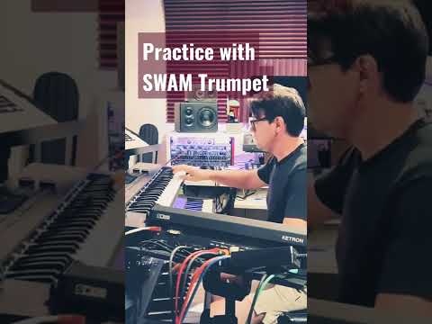 practice with SWAM