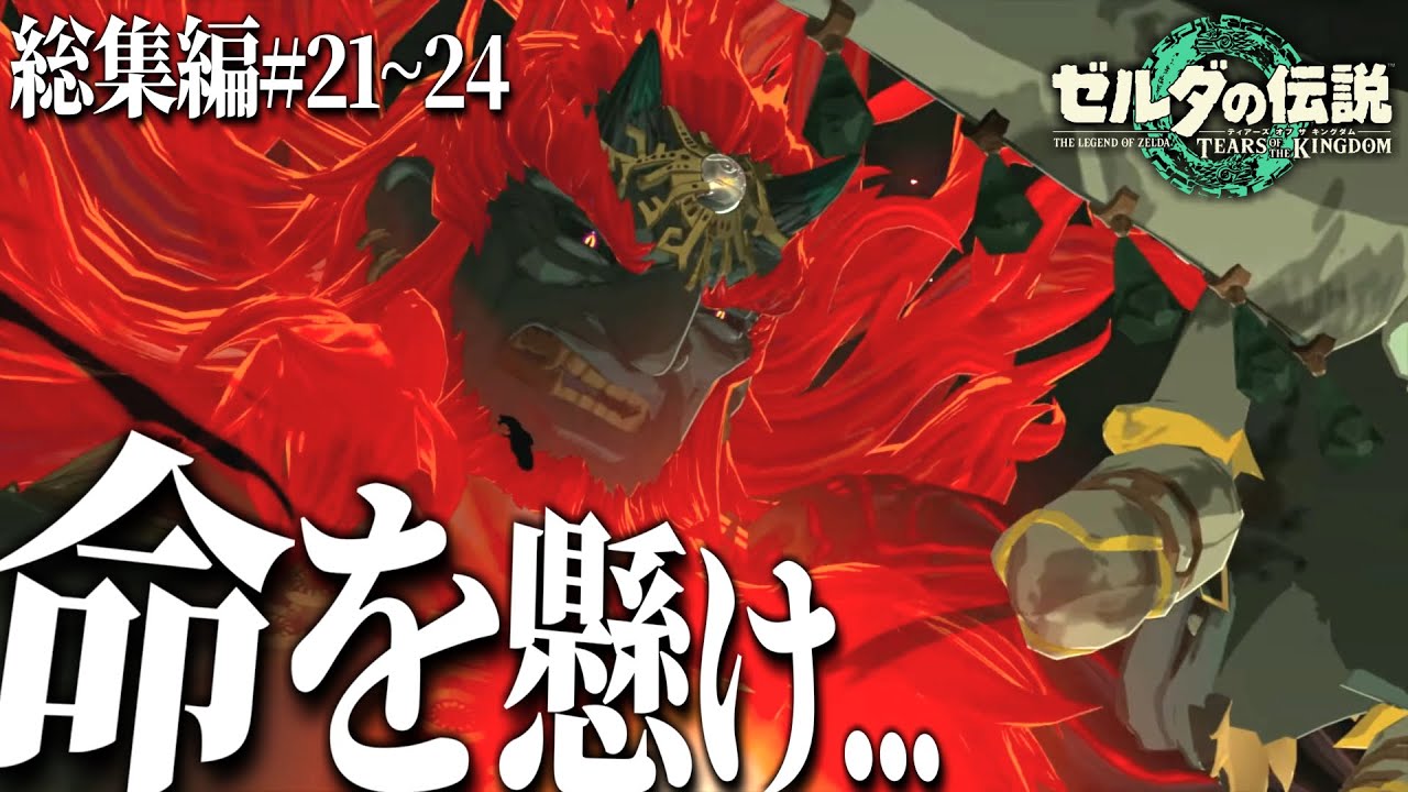 総集編】 ゼルダとラウル、ミネル達の命を懸けたガノンドロフ封印戦争