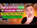 Вывод карточки в ТОП на Wildberries Новичку, Пошаговая инструкция для Запуска бизнеса на Вайлдберриз