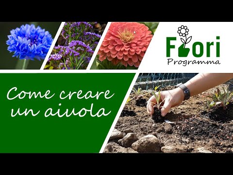 Video: Come creare bordi con fiori e altre piante