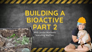 How to Build a Bioactive Custom Background