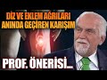 Diz ve eklem arlar annda geiren karm prof nerisi