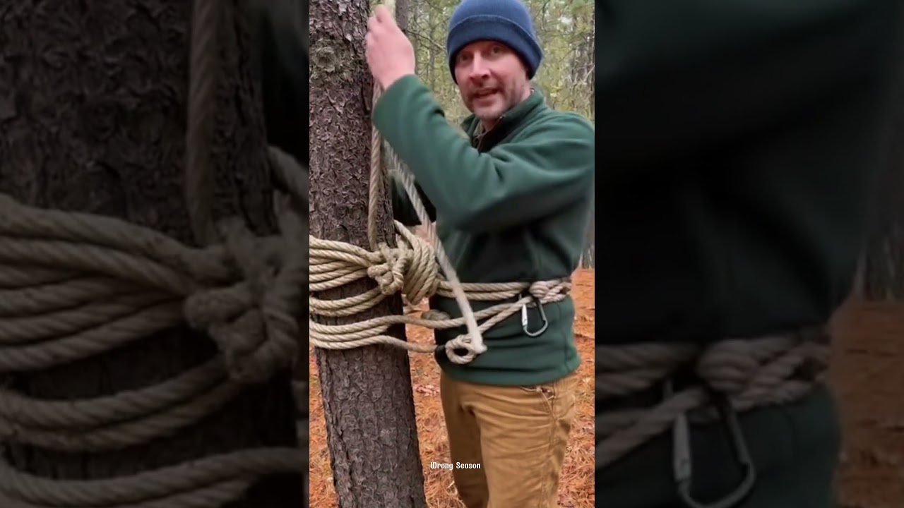 Bee Tracking Adventure Finding Hives in Harsh Conditions Wild Honey Quest Exploring Nature Out