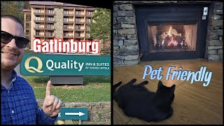 Pet Friendly Gatlinburg - Quality Inn & Suites -Tennessee Hotel