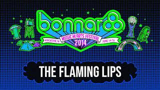 The Flaming Lips - Live at Bonnaroo in Manchester, TN (June 14, 2014)