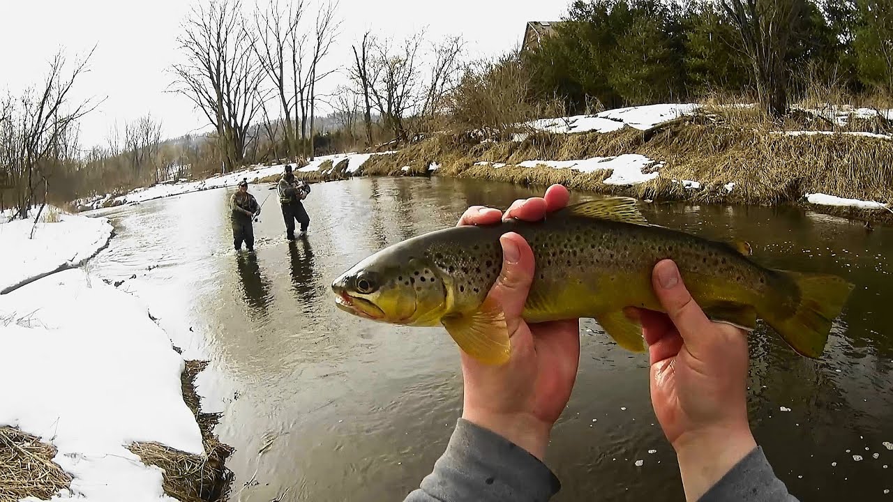 Wisconsin Trout Fishing 3/4/2023 YouTube