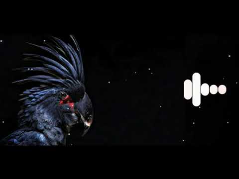 bird machine ringtone  |  bird machine ringtone  remix  mumic bax