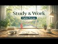Instrumental Background Music for Focus, Study & Calm Productivity