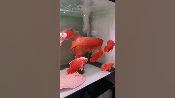 72 30 30 กรองล่างอุปกรณ์ครบ + Service Valves ทุกจุดสำหรับการต่อเชื่อมในระบบ O4 14,900.- ไม่รวมขนย้าย