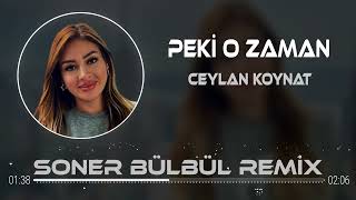 Ceylan Koynat - Neden (Peki O Zaman) ( Soner Bülbül Remix ) Resimi
