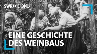 Harte Handarbeit: Weinbau zwischen Maschinen & Mythos | SWR Doku