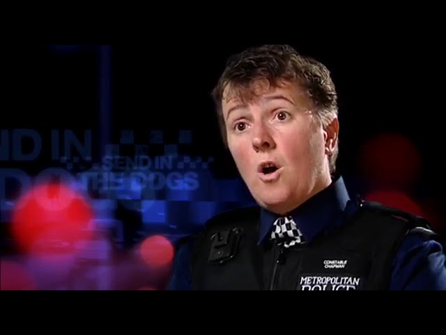 Send in the Dogs   Season 2, Episode 1