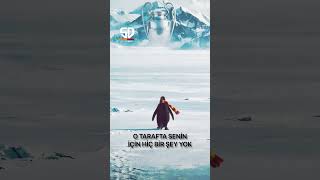 Galatasaray Da Böyle Yaptıavrupa Hayal Diyenlere Kulak Asmadı