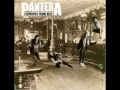 Pantera the art of shredding