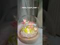 VIRAL TULIP LAMP🌷||#trendingshorts #tulip #nightlamp #shorts #meeshohaul #youtubeshorts